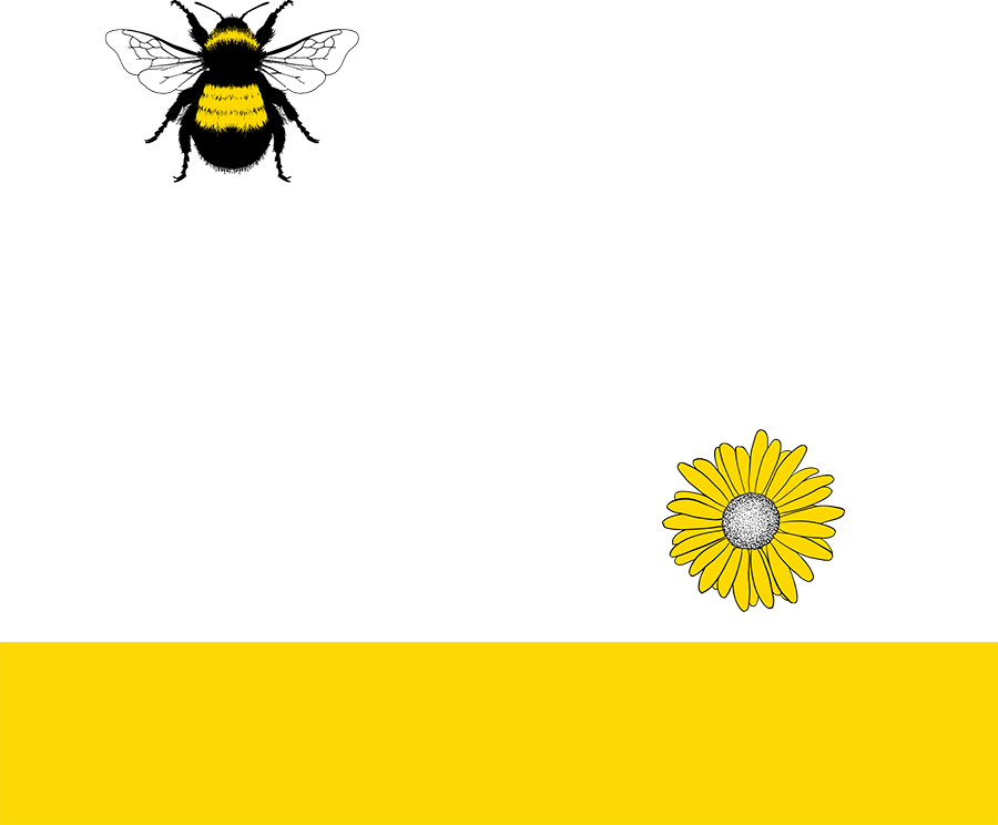 蜜蜂的校园 logo